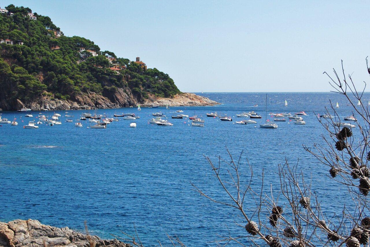Small boats moored across Llafranc bay beneath the wooded Costa Brava headland